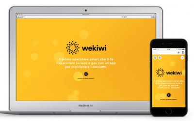 WEKIWI “il kiwi dell’energia”