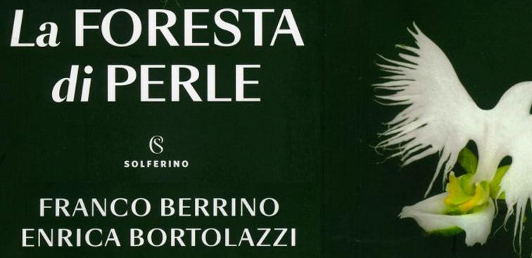 FRANCO BERRINO LA FORESTA DI PERLE