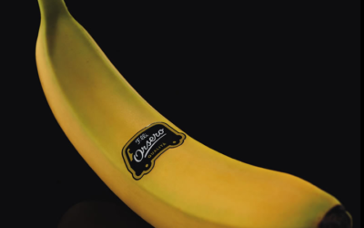 IL TEMPO DELLE BANANE