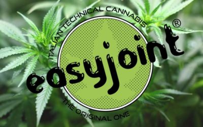 LA CANNABIS LIGHT È PASSATA IL MARCHIO EASYJOINT NO