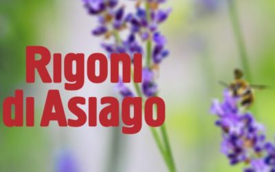 RIGONI DI ASIAGO, IL NOME E LA SUA STORIA