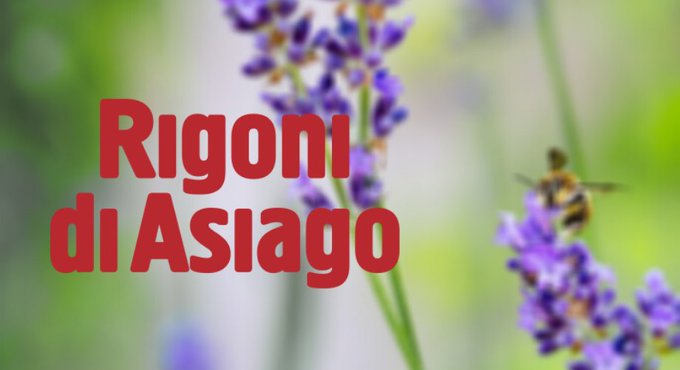 RIGONI DI ASIAGO, IL NOME E LA SUA STORIA