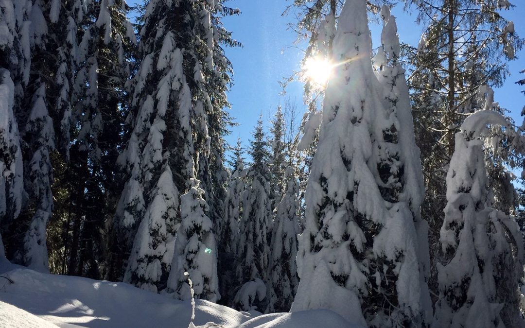 E VENNE LA NEVE 31 DICEMBRE 2020