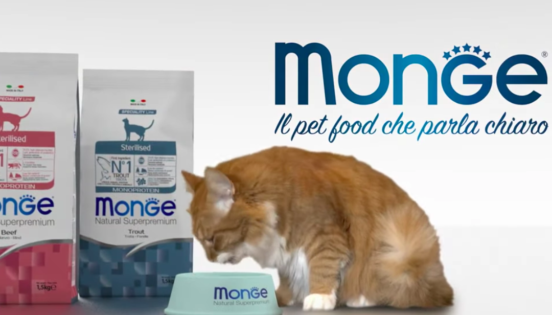 MONGE PET FOOD LIGUORI MAMING