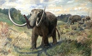 Mastodonte su Wikipedia