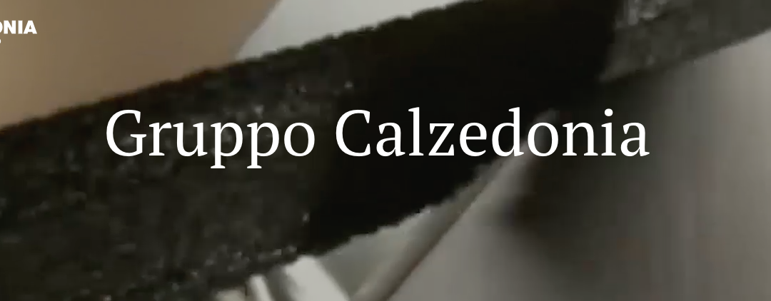 ONIVERSE RENAMING CALZEDONIA GROUP