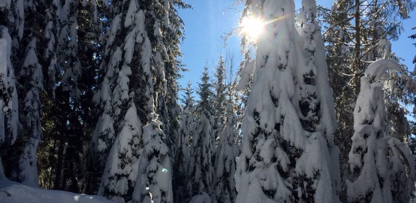 NOMI E PAROLE: CONSONANZE, ASSONANZE E ARMONIE