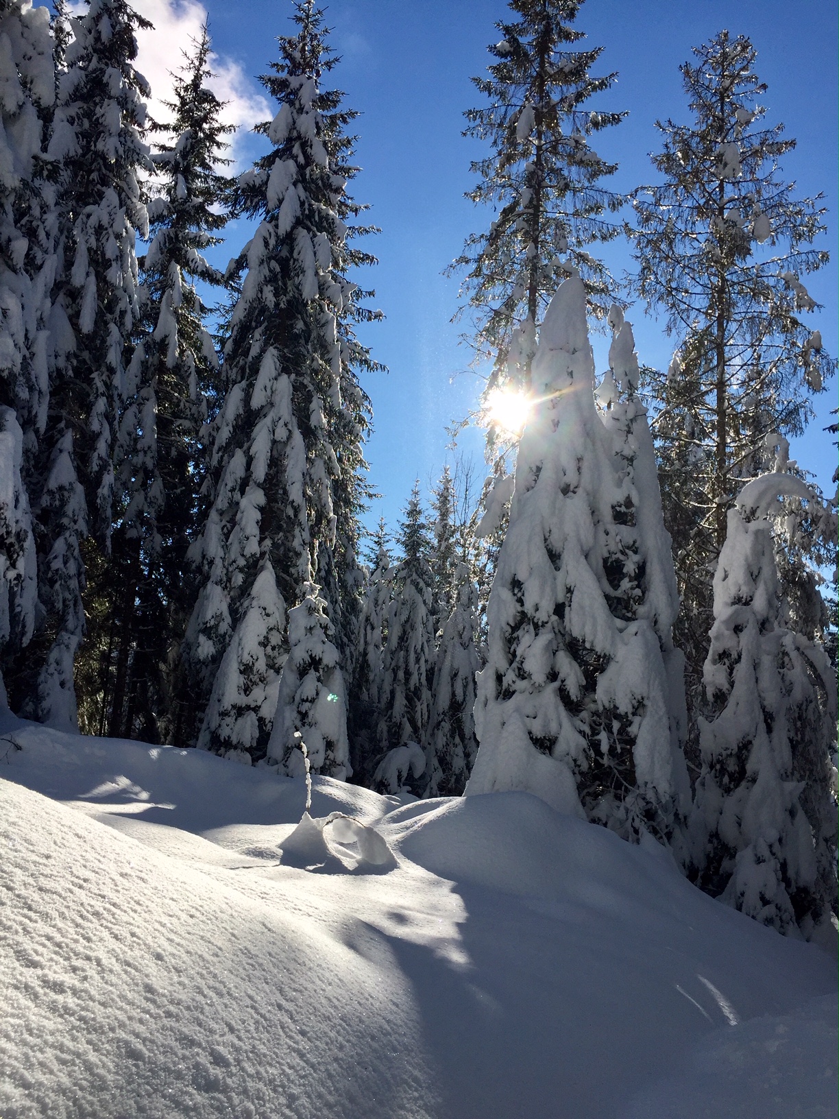 E VENNE LA NEVE 31 DICEMBRE 2020