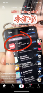 RedNote da Artribune