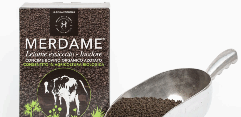 MERDAME E MERDACOTTA AL MUSEO DELLA MERDA