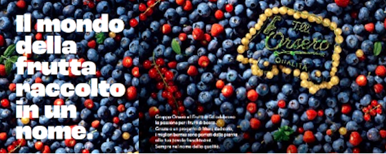 ORSERO. IL MONDO DELLA FRUTTA RACCOLTO IN UN NOME