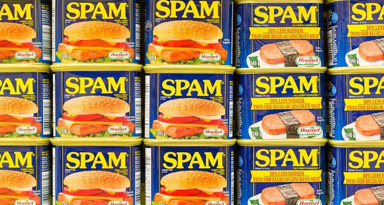 IL NOME SPAM E LA SUA PARABOLA POCO VIRTUOSA