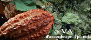 CAMPAGNA MULTICANALE VANINI CIOCCOLATO CHI VA