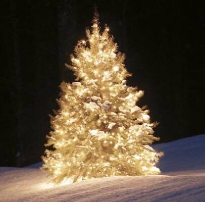 UN BUON NOME E’ SEMPRE UN BUON AUGURIO