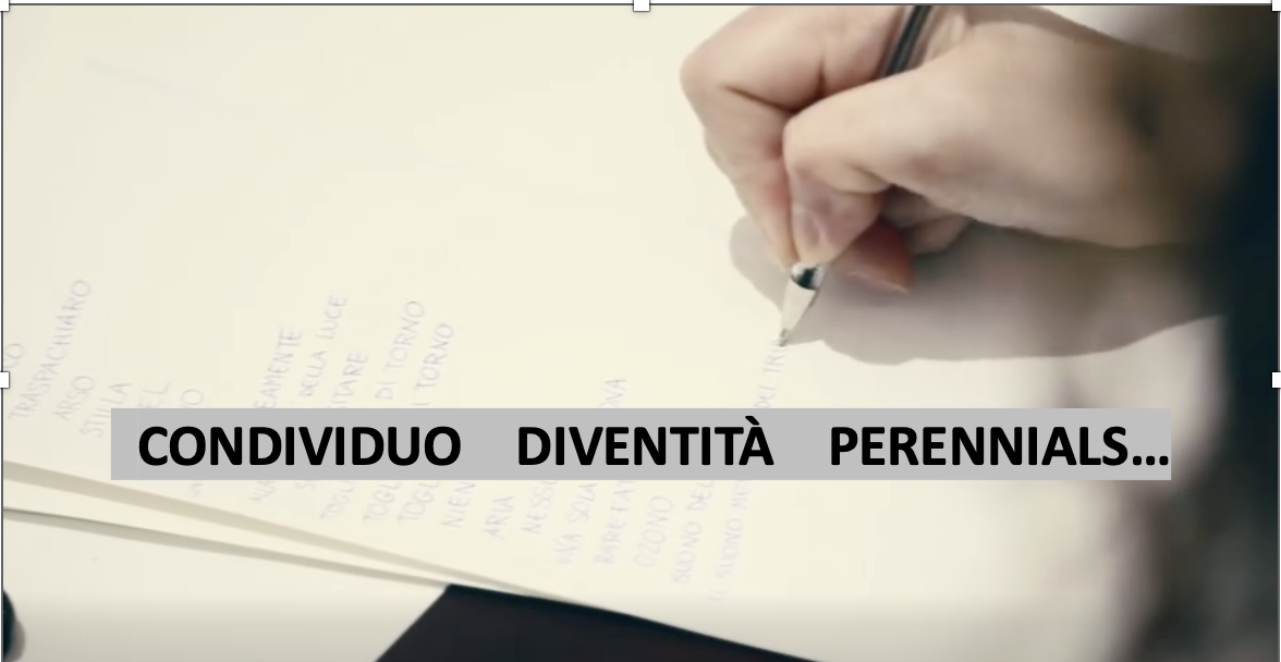 CONDIVIDUO DIVENTITà