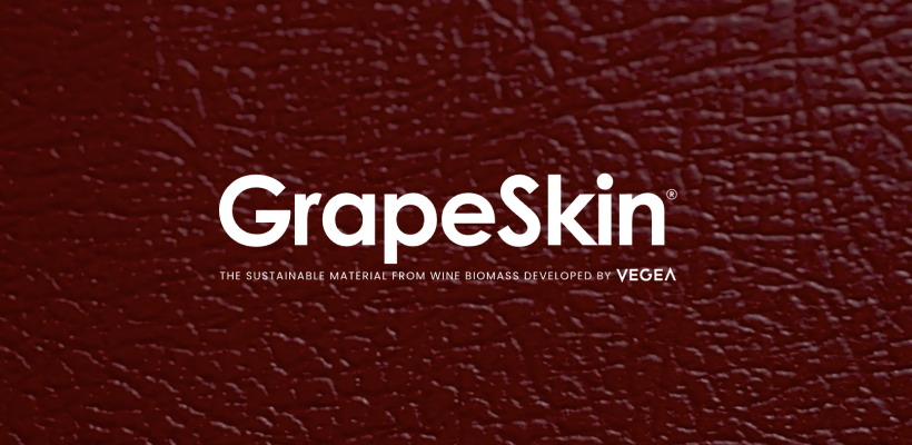 VEGEA E GRAPESKIN